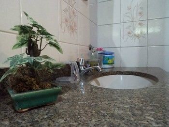 אנגרה דוס רייס Pousada Canoa Da Praia מראה חיצוני תמונה